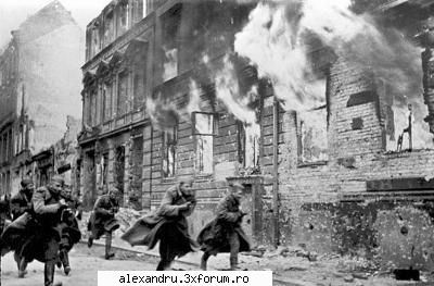 World War II pictures (99 Pic.) - cosminv2005 - Poze